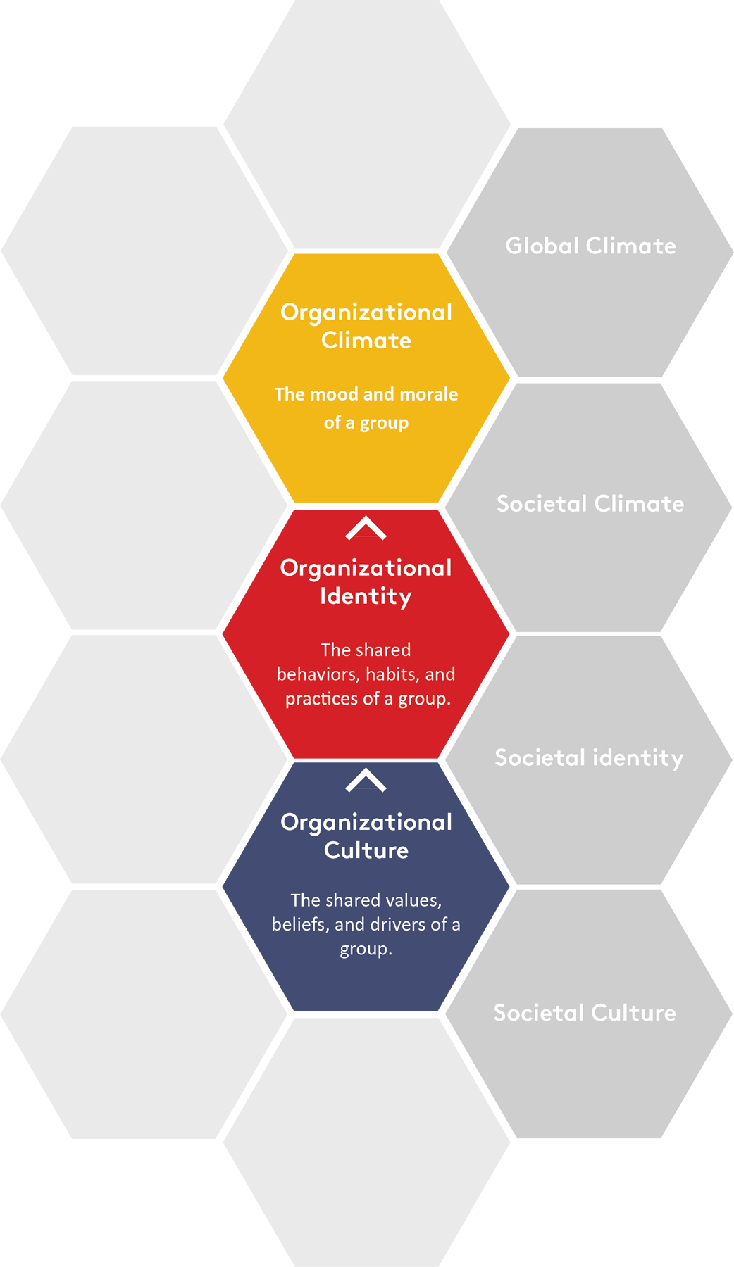 ak Culture Model