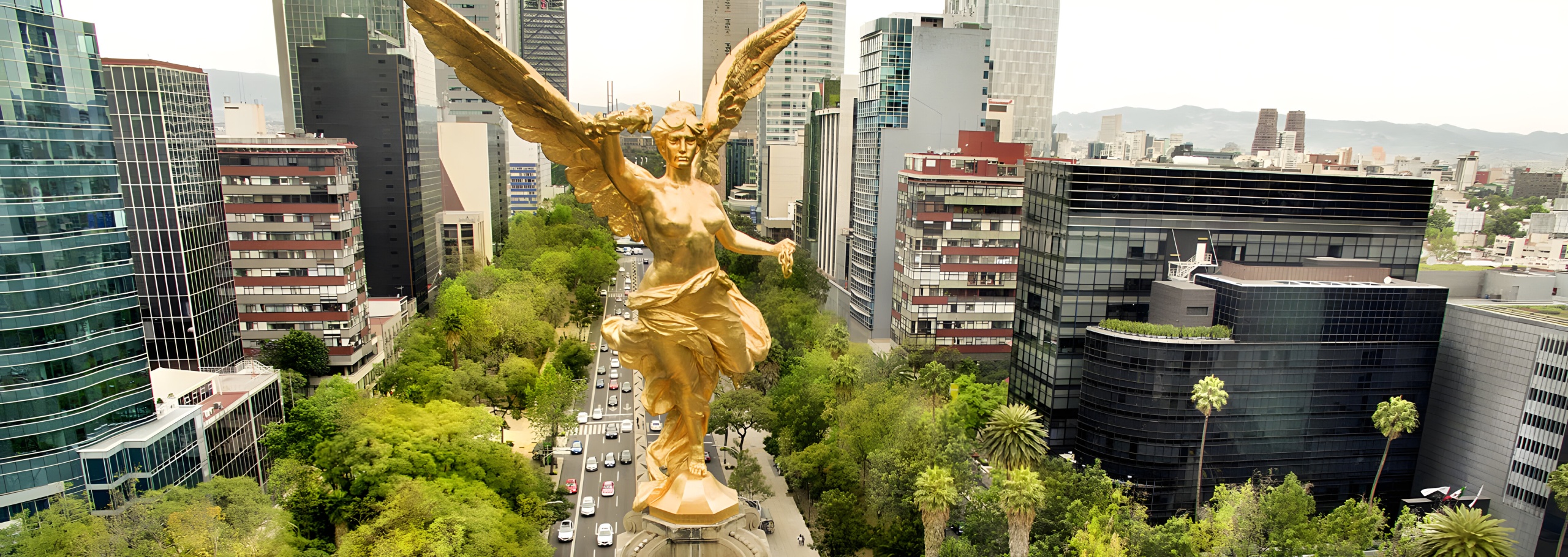 mexico_startup_executive_search