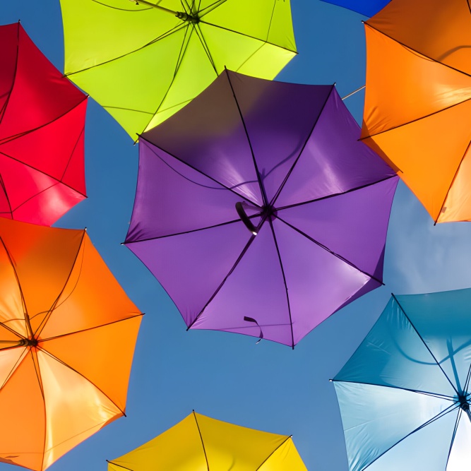 culture_and_the_board